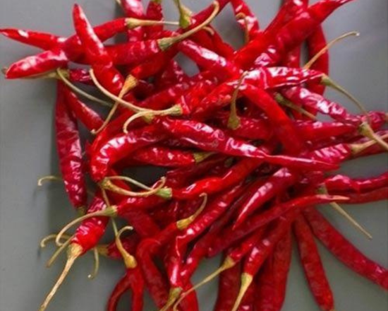 Dried Red Chili current ( Sukna Morich  - শুকনা মরিচ কারেন্ট)